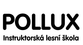 Pollux