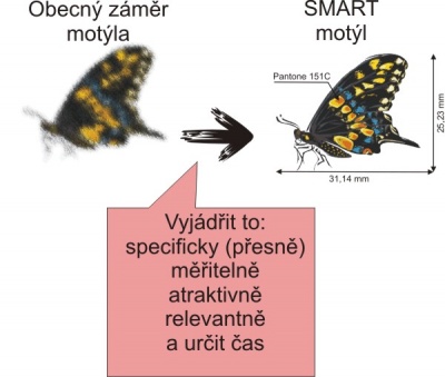 SMART Motýl.jpg