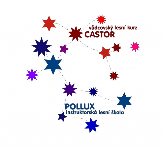 Soubor:Castor pollux souhvezdi color.jpg